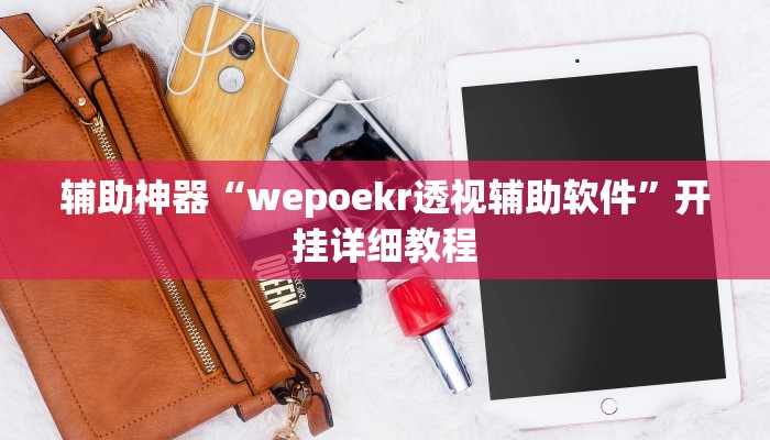 辅助神器“wepoekr透视辅助软件”开挂详细教程