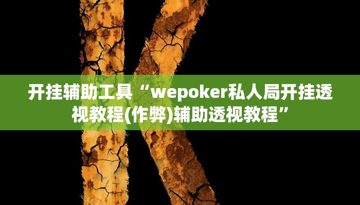 开挂辅助工具“wepoker私人局开挂透视教程(作弊)辅助透视教程”