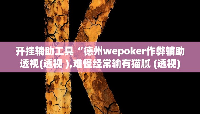 开挂辅助工具“德州wepoker作弊辅助透视(透视 ),难怪经常输有猫腻 (透视)