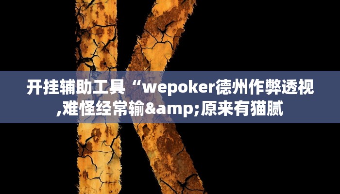 开挂辅助工具“wepoker德州作弊透视,难怪经常输&原来有猫腻