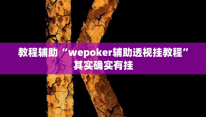 教程辅助“wepoker辅助透视挂教程”其实确实有挂