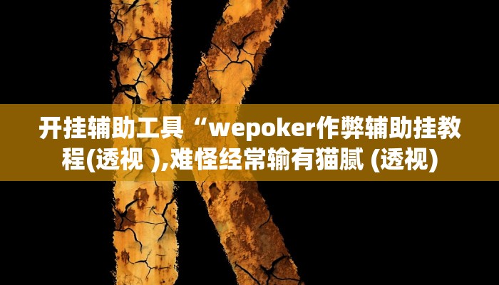 开挂辅助工具“wepoker作弊辅助挂教程(透视 ),难怪经常输有猫腻 (透视)