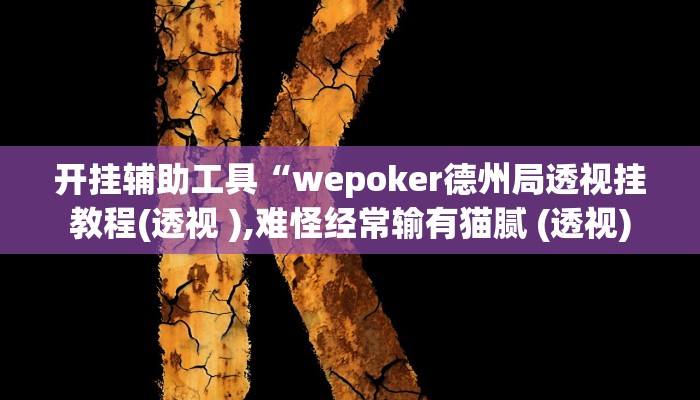 开挂辅助工具“wepoker德州局透视挂教程(透视 ),难怪经常输有猫腻 (透视)