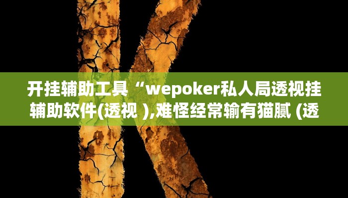 开挂辅助工具“wepoker私人局透视挂辅助软件(透视 ),难怪经常输有猫腻 (透视)