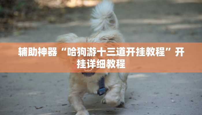 辅助神器“哈狗游十三道开挂教程”开挂详细教程