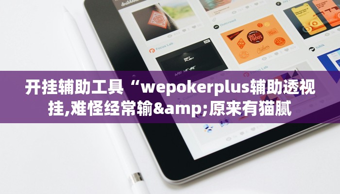 开挂辅助工具“wepokerplus辅助透视挂,难怪经常输&原来有猫腻
