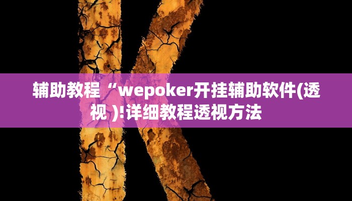 辅助教程“wepoker开挂辅助软件(透视 )!详细教程透视方法