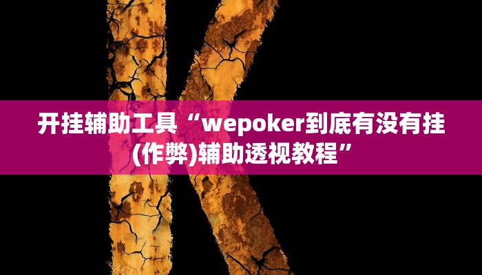 教程辅助“Hhpoker透视挂”其实确实有挂