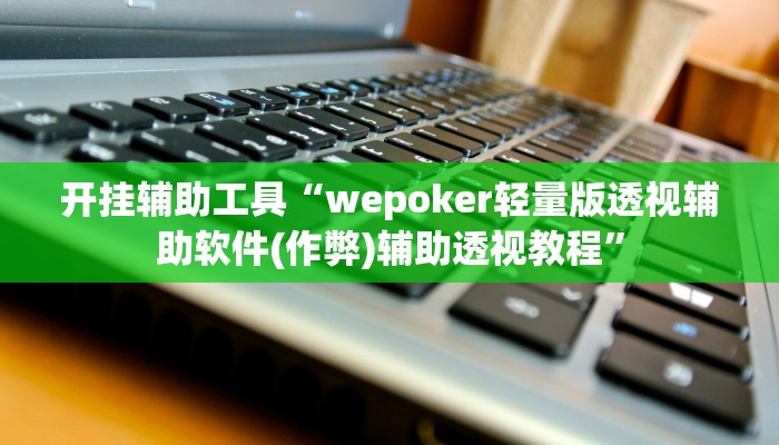 开挂辅助工具“wepoker轻量版透视辅助软件(作弊)辅助透视教程”