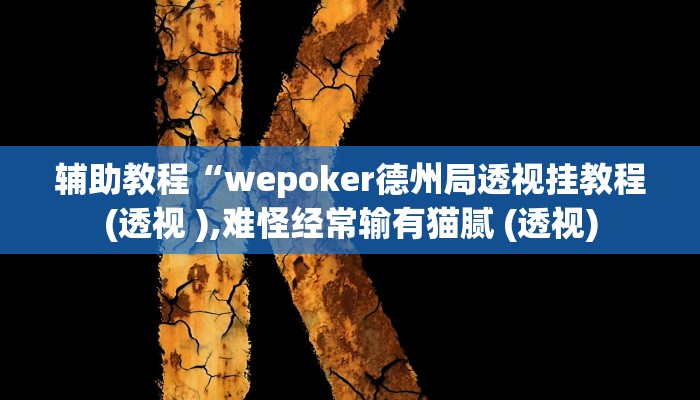 辅助教程“wepoker德州局透视挂教程(透视 ),难怪经常输有猫腻 (透视)