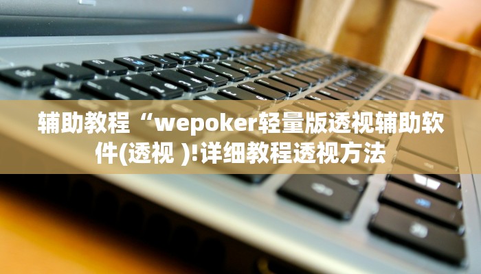 辅助教程“wepoker轻量版透视辅助软件(透视 )!详细教程透视方法