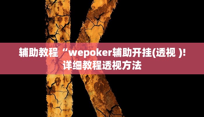 辅助教程“wepoker辅助开挂(透视 )!详细教程透视方法