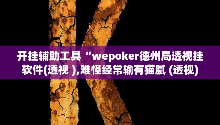 开挂辅助工具“wepoker德州局透视挂软件(透视 ),难怪经常输有猫腻 (透视)