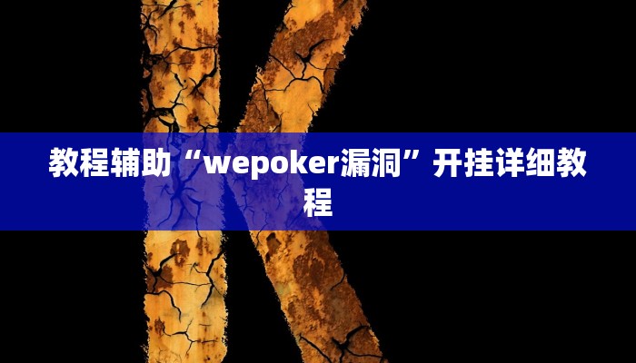 教程辅助“wepoker漏洞”开挂详细教程