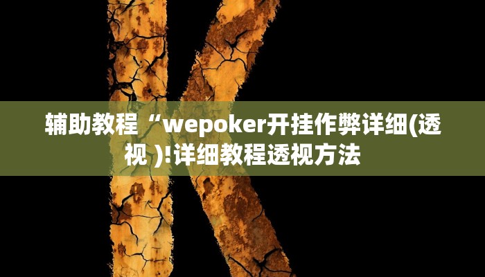 辅助教程“wepoker开挂作弊详细(透视 )!详细教程透视方法
