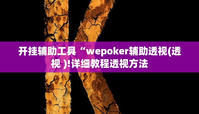 开挂辅助工具“wepoker辅助透视(透视 )!详细教程透视方法