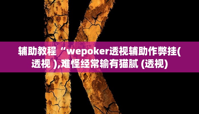 辅助教程“wepoker透视辅助作弊挂(透视 ),难怪经常输有猫腻 (透视)