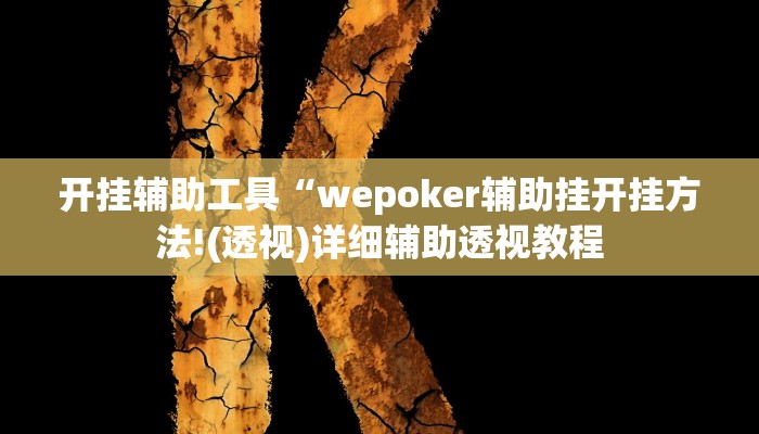 开挂辅助工具“wepoker辅助挂开挂方法!(透视)详细辅助透视教程