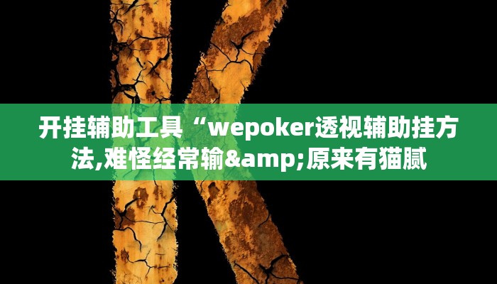 开挂辅助工具“wepoker透视辅助挂方法,难怪经常输&原来有猫腻