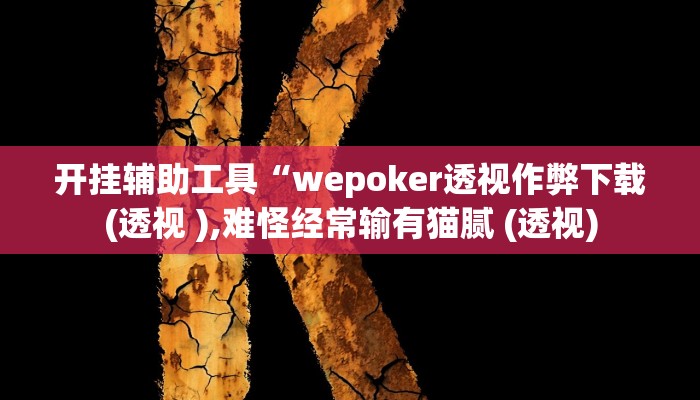 开挂辅助工具“wepoker透视作弊下载(透视 ),难怪经常输有猫腻 (透视)