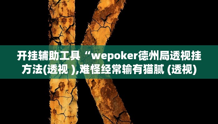 开挂辅助工具“wepoker德州局透视挂方法(透视 ),难怪经常输有猫腻 (透视)