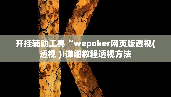 开挂辅助工具“wepoker网页版透视(透视 )!详细教程透视方法
