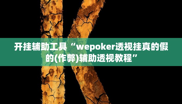 开挂辅助工具“wepoker透视挂真的假的(作弊)辅助透视教程”