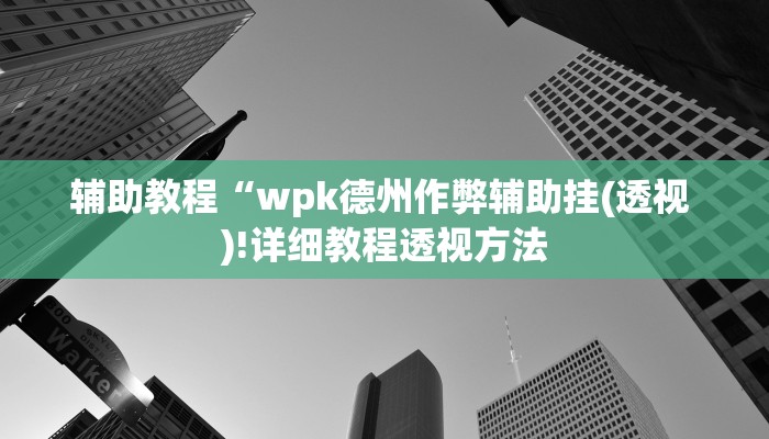 辅助教程“wpk德州作弊辅助挂(透视 )!详细教程透视方法