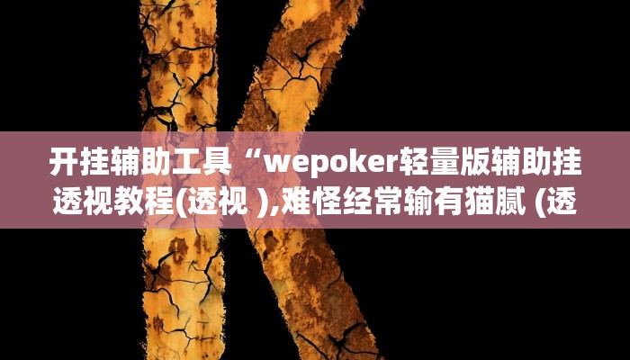 开挂辅助工具“wepoker轻量版辅助挂透视教程(透视 ),难怪经常输有猫腻 (透视)