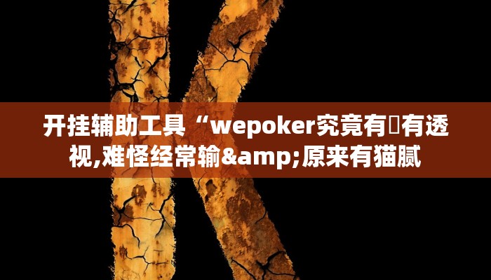 开挂辅助工具“wepoker究竟有沒有透视,难怪经常输&原来有猫腻