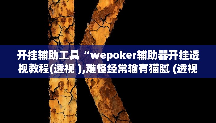 开挂辅助工具“新版wepoker真能买到挂吗(透视 )!详细教程透视方法