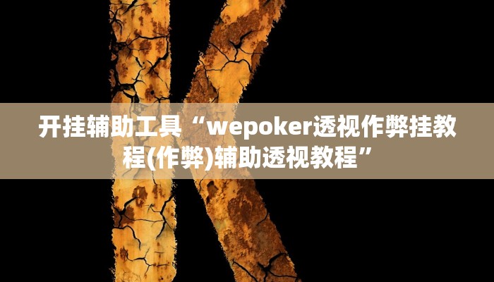 开挂辅助工具“wepoker透视作弊挂教程(作弊)辅助透视教程”