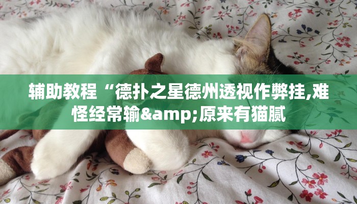 辅助教程“德扑之星德州透视作弊挂,难怪经常输&原来有猫腻