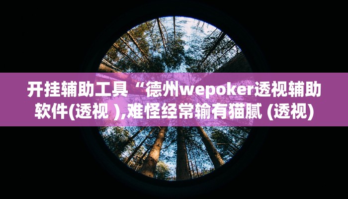 开挂辅助工具“德州wepoker透视辅助软件(透视 ),难怪经常输有猫腻 (透视)