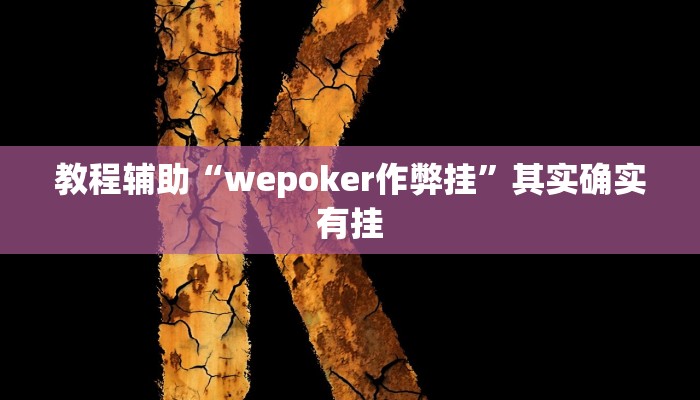 教程辅助“wepoker作弊挂”其实确实有挂