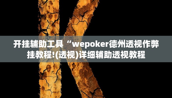 开挂辅助工具“wepoker德州透视作弊挂教程!(透视)详细辅助透视教程