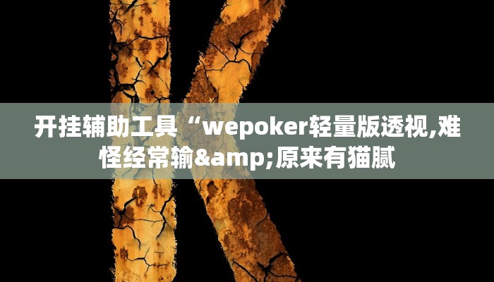 开挂辅助工具“wepoker轻量版透视,难怪经常输&原来有猫腻