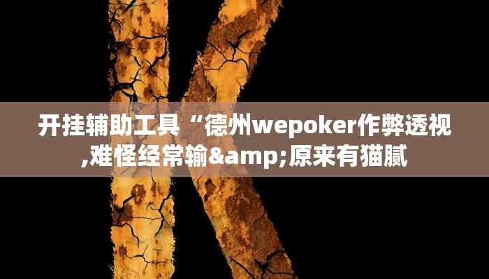 开挂辅助工具“德州wepoker作弊透视,难怪经常输&原来有猫腻