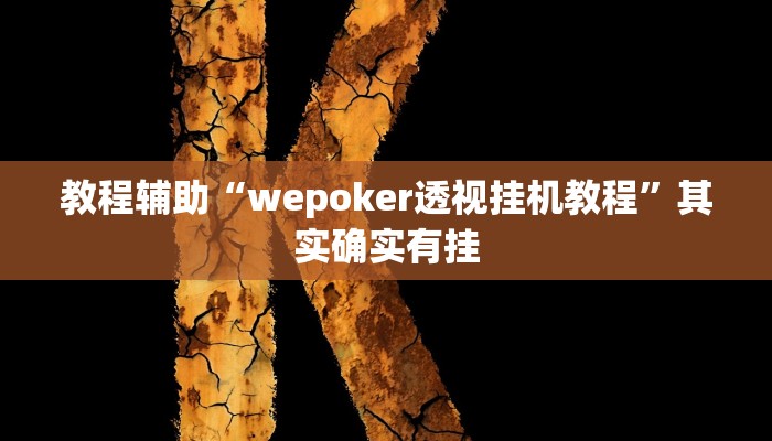 教程辅助“wepoker透视挂机教程”其实确实有挂