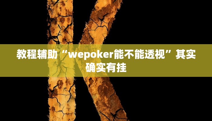 教程辅助“wepoker能不能透视”其实确实有挂