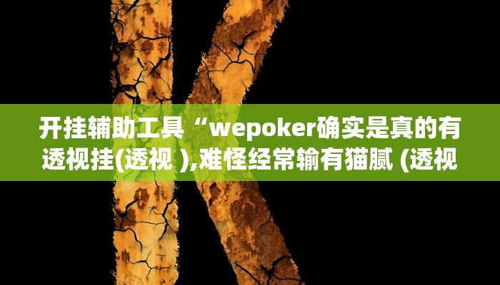 开挂辅助工具“wepoker确实是真的有透视挂(透视 ),难怪经常输有猫腻 (透视)