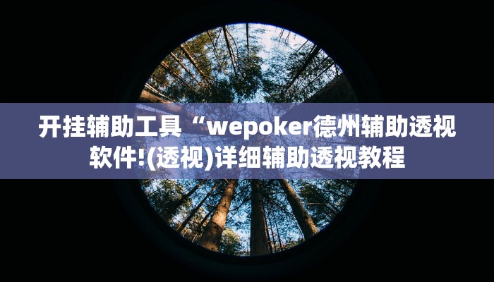 开挂辅助工具“wepoker德州辅助透视软件!(透视)详细辅助透视教程