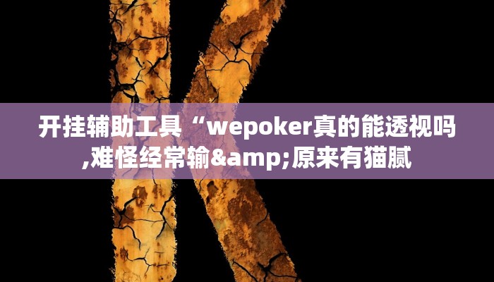 开挂辅助工具“wepoker真的能透视吗,难怪经常输&原来有猫腻