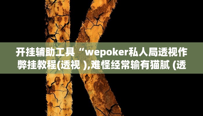 开挂辅助工具“wepoker私人局透视作弊挂教程(透视 ),难怪经常输有猫腻 (透视)