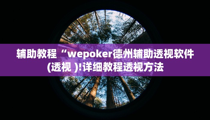 辅助教程“wepoker德州辅助透视软件(透视 )!详细教程透视方法