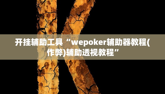 开挂辅助工具“wepoker辅助器教程(作弊)辅助透视教程”