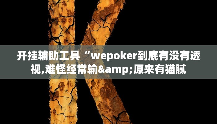 开挂辅助工具“wepoker到底有没有透视,难怪经常输&原来有猫腻