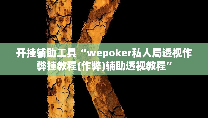 开挂辅助工具“wepoker私人局透视作弊挂教程(作弊)辅助透视教程”