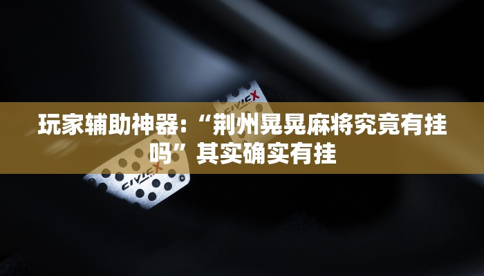 教程辅助“胡乐阳泉麻将有必赢技巧吗”开挂详细教程