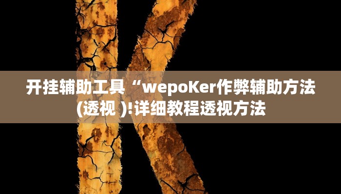开挂辅助工具“wepoKer作弊辅助方法(透视 )!详细教程透视方法